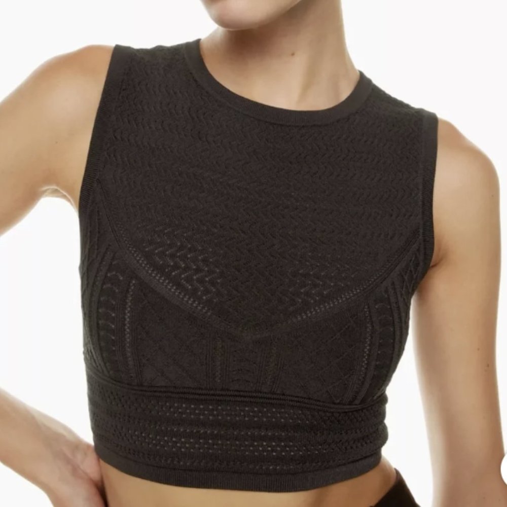 Aritzia Babaton Brown Pointelle Crop Top - New with Tags
